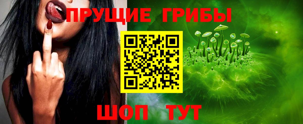 Полевской  Галлюциногенные грибы Psilocybe  Галлюциногенные грибы прущие грибы  Вход с VPN 